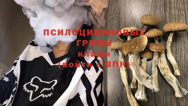 меф Бородино