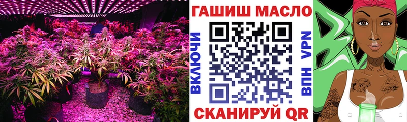 где продают наркотики  Стерлитамак  ТГК гашишное масло 