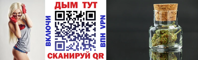 купить закладку  Стерлитамак  ОМГ ОМГ маркетплейс  Бошки марихуана семена 